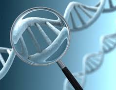 Gambar: dna.com