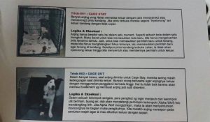 Gambar: Philips Joeng