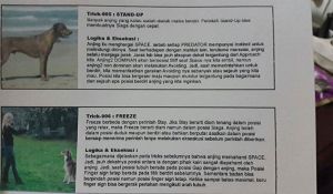 Gambar: Philips Joeng